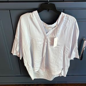 NWT very pale blue v neck silk blouse - size large